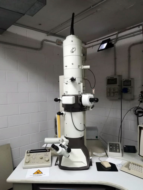 Microscopio Elettronico a Trasmissione (TEM) JEOL JEM 1220