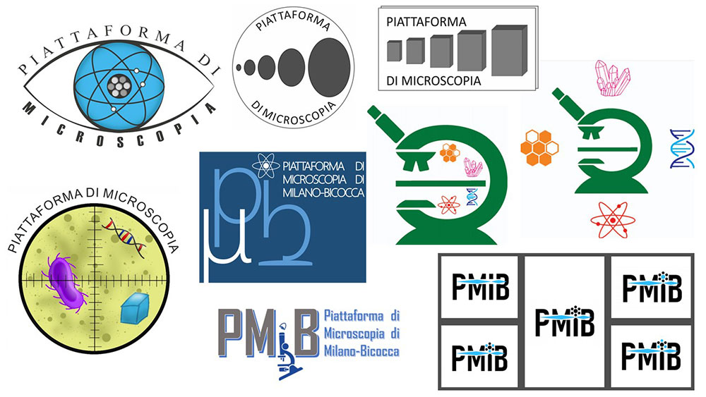 Microscopio Elettronico a Trasmissione (TEM) JEOL JEM 1220 - Piattaforma di  Microscopia